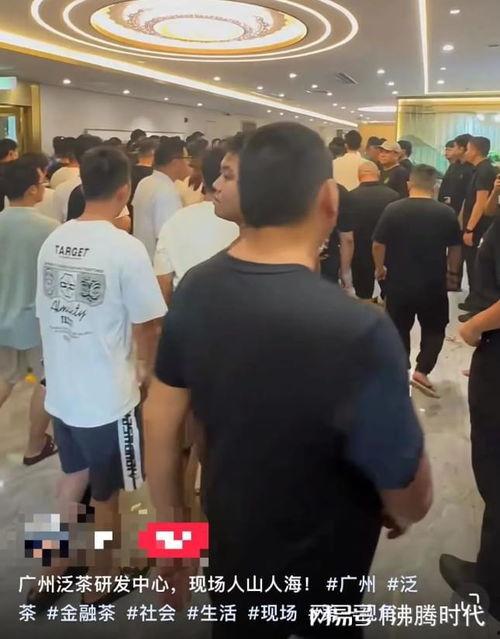 茶叶爆料视频,视频爆料带你走进神秘茶世界  第3张