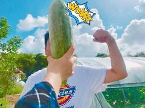 网红吃瓜到自己身上,揭秘娱乐圈背后的真相  第3张